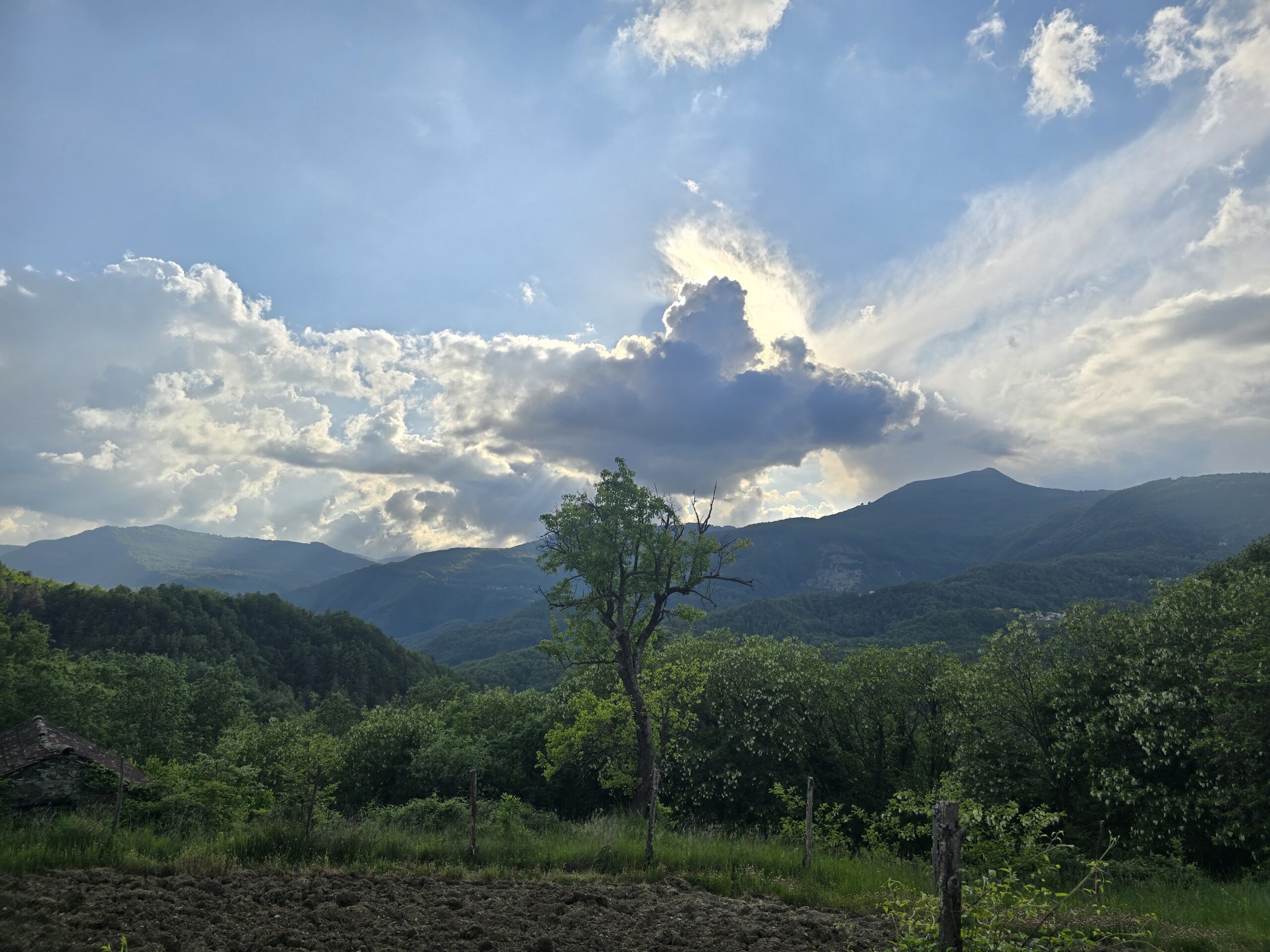 Titolo dell’articolo